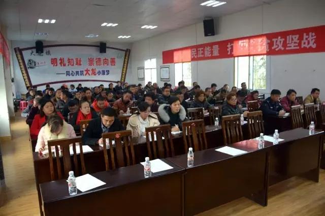 管家婆精准资料免费大全香港精选解析、解释与落实、定量解答解释落实